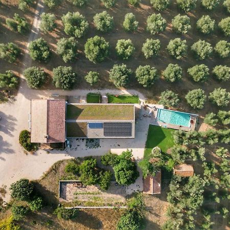 Agriturismo Casette Del Forno Montalto di Castro Eksteriør billede