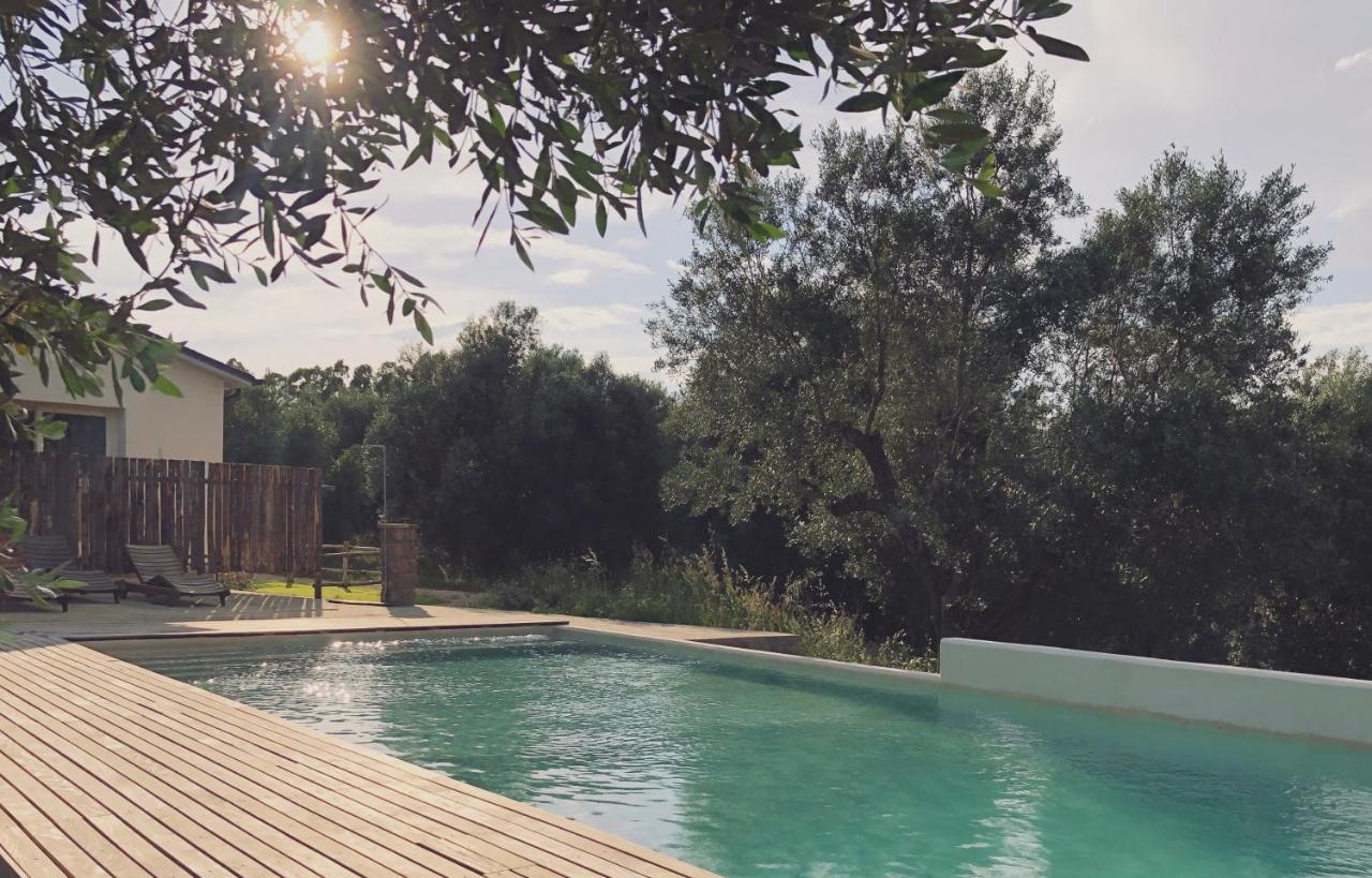 Agriturismo Casette Del Forno Montalto di Castro Eksteriør billede